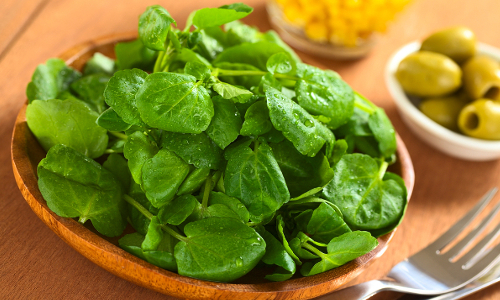 14 Superfood Salad Greens More Nutritious Than Kale