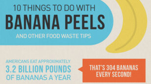 10 Ways to Use Banana Peels