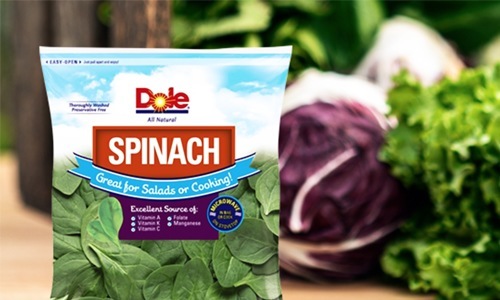 Salmonella Contamination Prompts Major Spinach Recall