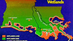 Louisiana Sues Big Oil for Loss of Coastal Wetlands