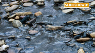 Breaking: Third Coal-Related Spill in the Last Month Contaminates West Virginia Waterway