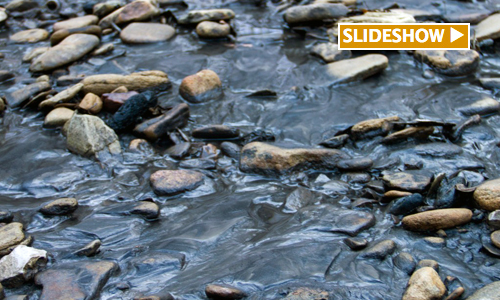 Breaking: Third Coal-Related Spill in the Last Month Contaminates West Virginia Waterway