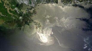 4 Years After Deepwater Horizon Oil Spill, EPA Lifts BP’s Gulf Drilling Ban