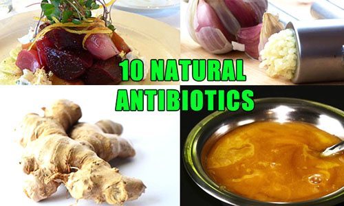 David Wolfe: 10 Natural Antibiotics That Fight Infection