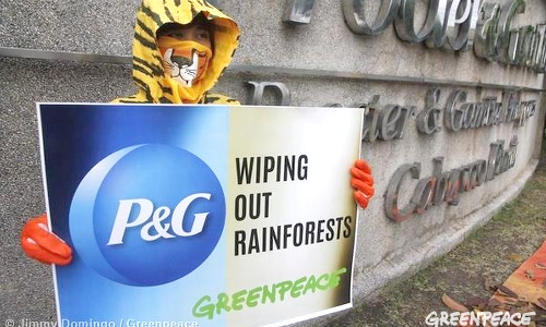 P&G to Eliminate Deforestation From Palm Oil Products