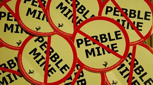 Another Developer Pulls Investment From Controversial Pebble Mine Project