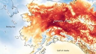 Insane Heat Wave in Alaska Put Temperatures Higher Than in Arizona