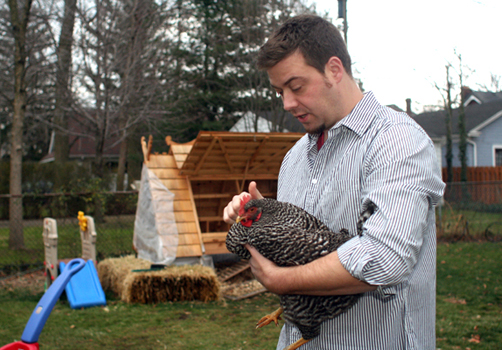 From Cities to Suburbs, Raising Backyard Chickens is All the Rage
