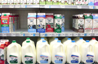 Organic Milk—Are You Getting What You Pay For?