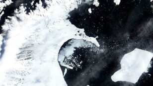 Melting of Antarctic Ice Shelves Could Double by 2050, Dramatically Increasing Sea Level Rise
