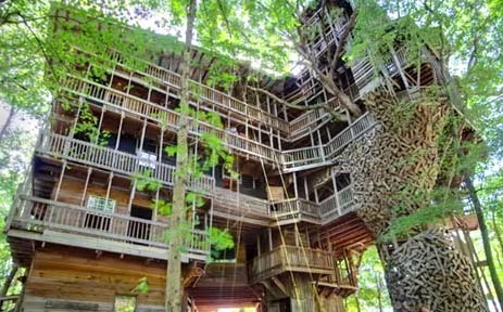 Take a Virtual Tour of the World’s Largest Treehouse