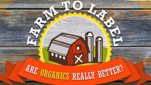Why You Should Buy Organic Food for You and Your Family