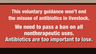 FDA Regulation of Antibiotics Use on Factory Farms Proves Worthless