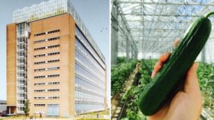 Inside Europe’s Largest Urban Farm