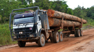 Indonesia Revokes Ending Legality License for Wood Exports