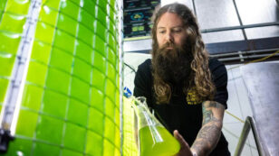 Australian Brewery Incorporates Algae Into Beer Production