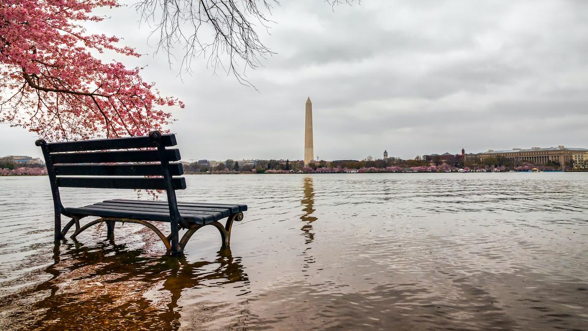 Flooding Problems at Washington, DC, Landmarks Likely to Worsen