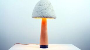 Check Out These Super Cool Lamps Literally Made From Mushrooms