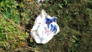 ‘Fantastic News’: England’s Plastic Bag Usage Drops by 85%