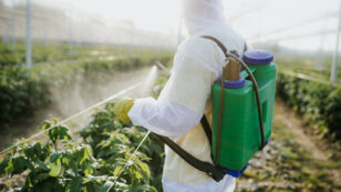 Entire Pesticide Class Must Be Banned to Save Children’s Health, Landmark Study Says