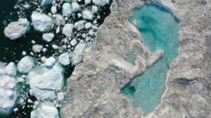 World’s Ice Is Melting 65 Percent Faster Than in 1990s