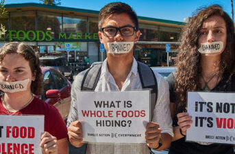 Is Whole Foods Telling Us the Truth About Its Stance on Animal Rights?