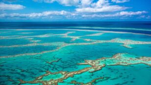 3 Australian Marine Sites Store Billions of Tons of Carbon, New UNESCO Report Finds