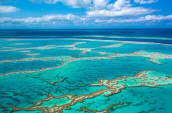 3 Australian Marine Sites Store Billions of Tons of Carbon, New UNESCO Report Finds