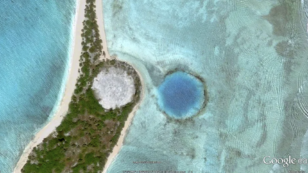 High Radiation Levels Found in Giant Clams Near U.S. Nuclear Dump Site on Marshall Islands