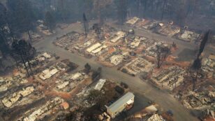 Trump Admin Manipulated Wildfire Science to Encourage Logging