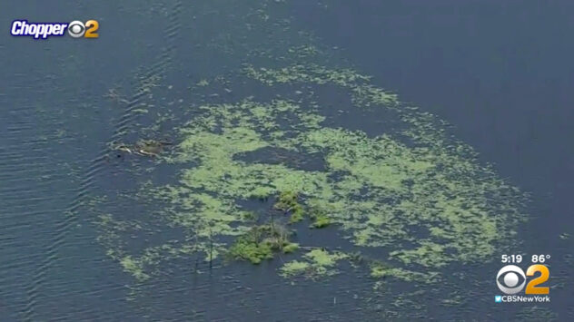 Record-Setting Harmful Algae Blooms in New Jersey’s Largest Lake