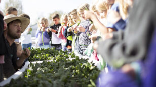 Elon Musk’s Brother Wants to Bring #RealFood to 100,000 Schools Across America