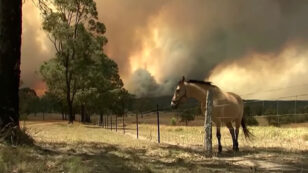 Sydney Faces ‘Catastrophic Fire Danger’ for First Time as 130 Australian Bushfires Burn