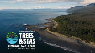 First-Ever Trees & Seas Event  Emphasizes the Connection Between Forests and Oceans This Summer