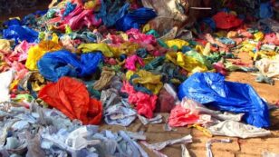 Mumbai Becomes Largest City in India to Ban Single-Use Plastics