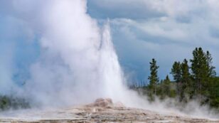 Climate Crisis Is Already Making Yellowstone Hotter, Drier