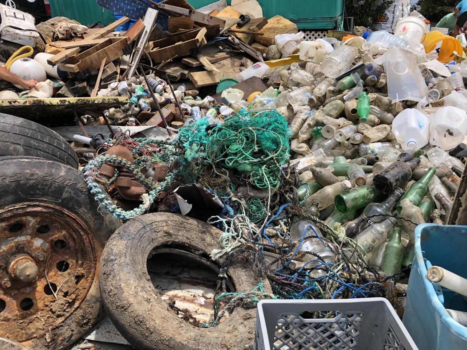 Marine debris collected from the 2018 Great Mangrove Cleanup.