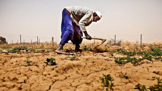 Climate Change, Conflict Leave 224 Million Undernourished in Africa