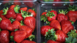 Strawberries, Spinach Top ‘Dirty Dozen’ List of Pesticide-Contaminated Produce