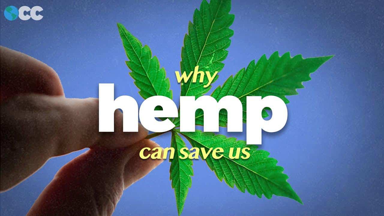 Can hemp help save the planet? - Down to Earth