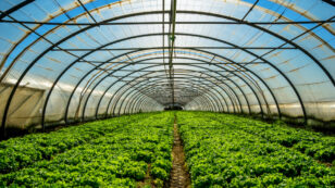 Researchers Aim to Reduce the Energy Footprint of Indoor Farms