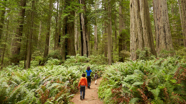 #FindYourPark and Kick Off National Park Week With a Free Visit Saturday
