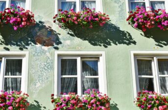 How Environmentally Friendly Are Balcony Plants?