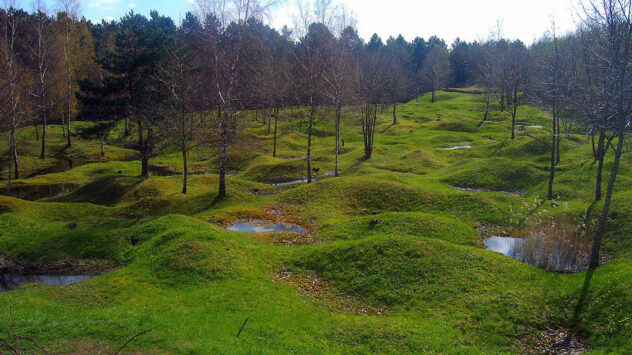 This World War I Battlefield Is a Haunting Reminder of the Environmental Costs of War