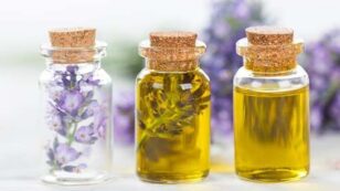 Are Lavender and Tea Tree Essential Oils Hormone Disruptors?