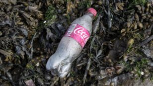 Coca-Cola Is #1 Most Littered Brand on UK Beaches