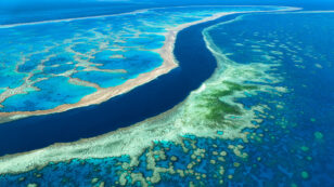 Australia Plans to Dump More Than 1 Million Tons of Sludge in Great Barrier Reef Waters