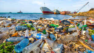 19 Aquariums Pledge to Fight Plastic Pollution, Ban Single-Use Plastic Bags and Straws