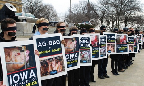 Appeals Court Urged to Strike Down Idaho’s Ag-Gag Law