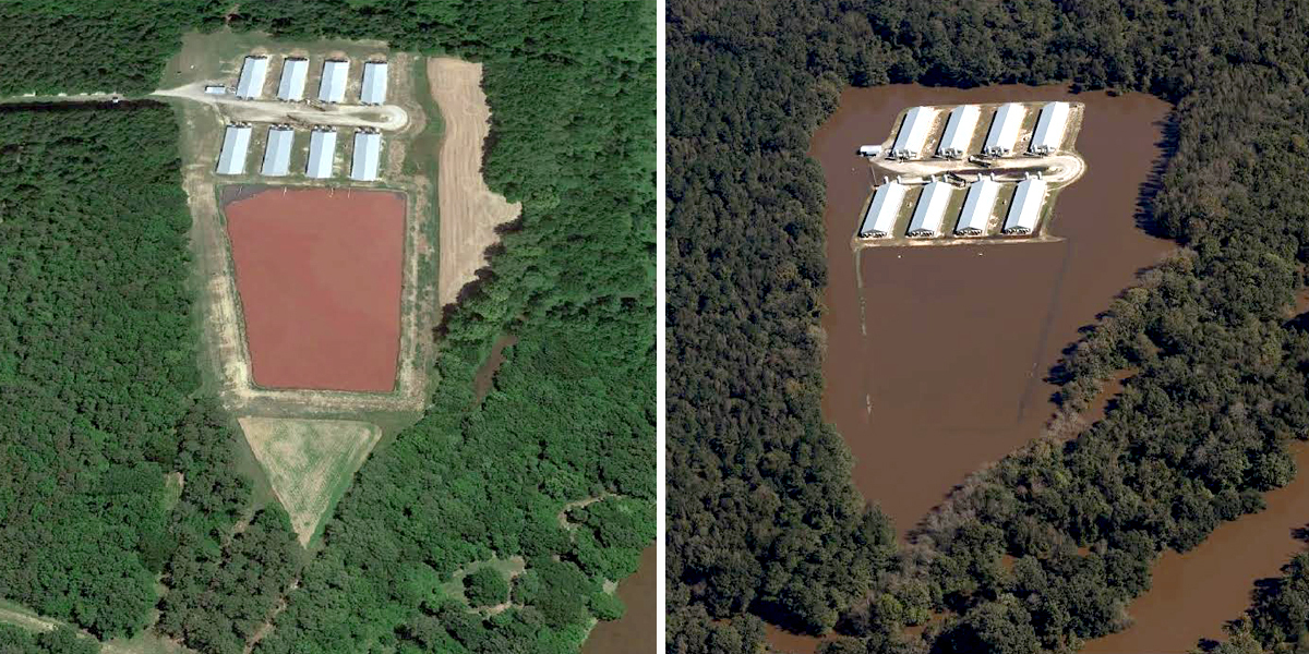 Aerial Photos Document Massive Flooding of 36 Factory Farms
